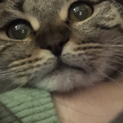 ASMR-Aurras / GreekAurras on YouTube