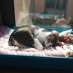 ³3ēųføřîją3³