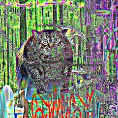 ShizoBred