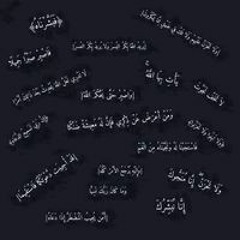Adel H Adel