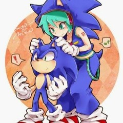 Sonic Nik