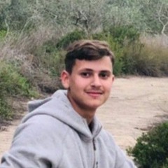 Ali