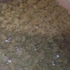 rxinz