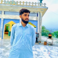 MuBiN