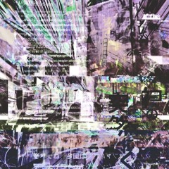 20241216