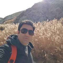 Alireza