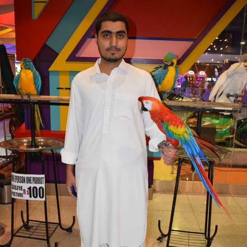 Pashto_New_Songs_2021_Shah_Farooq_New_Attan_Sandara_Da_Zra_Sara_Latana_Zarsham__Tappy