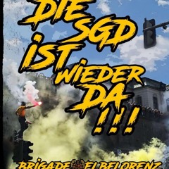 Elbflorenzsoldat🖤💛