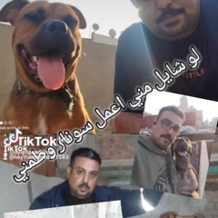 hitham monsef