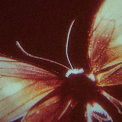 Ostrara.Netty