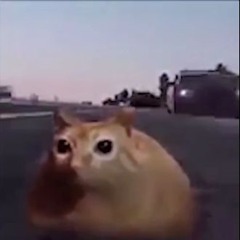 VIJTOR