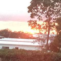 jake jaking jake jaq