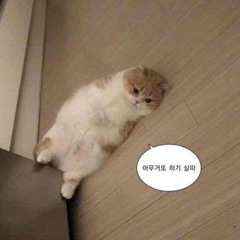 비냐