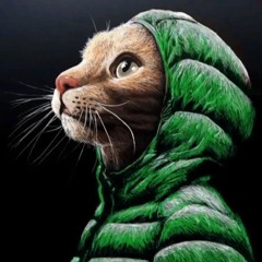 🍀