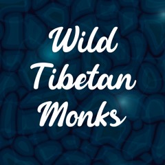 Wild Tibetan Monks