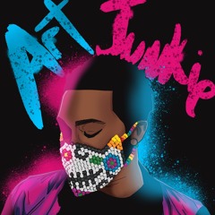 Art__Junkie