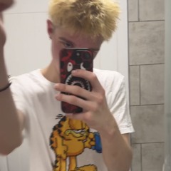 містер треп