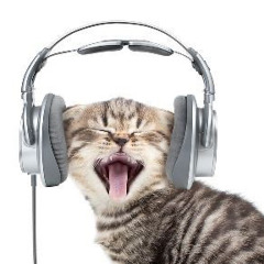 kit