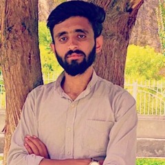 Murtaza Solangii