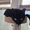 MadCatmusic