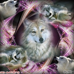 loup