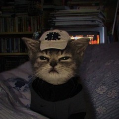 Felixzx