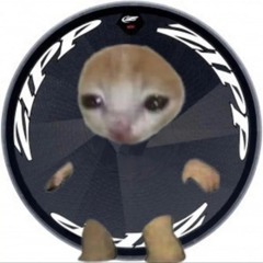 박수수수퍼노바