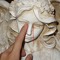 wooden girl