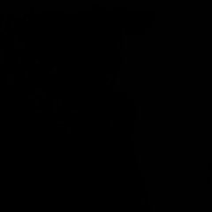 Echo's N MelaNKholyiA