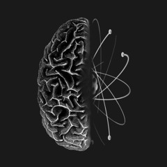 Fate Of Late - Radiation Shield