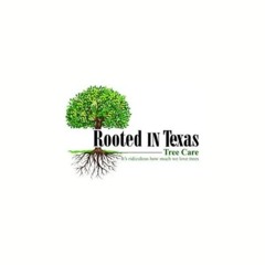 Rooted in Texas Tree Care