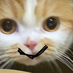 :0