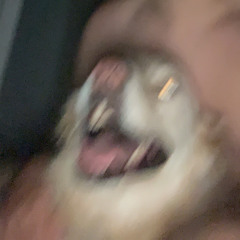 Skizi