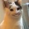 polite cat
