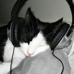 Evie <3