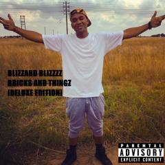 blizzardblizzzz music