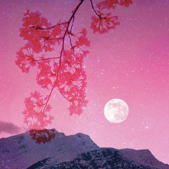 𝓢𝓾𝓴𝓲𝓜𝓪𝓶𝓪💕