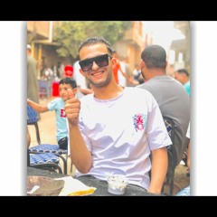 Ali Ahmed Elgzawy