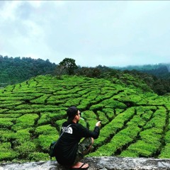 Muhammad Aldy