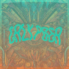 Calypsea