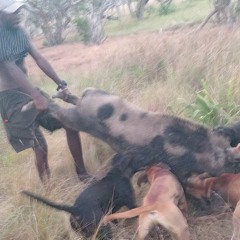 𝓫𝓸𝓲𝓲.𝓳𝓸𝓼𝓱ت︎