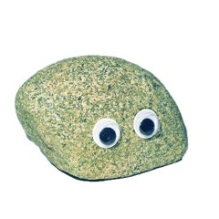 patrone