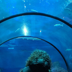 twoplustwoequalsorange