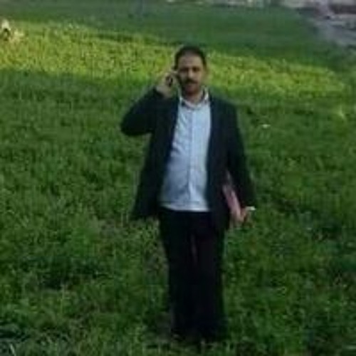 Mahmoud Salama’s avatar