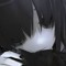ifxnly