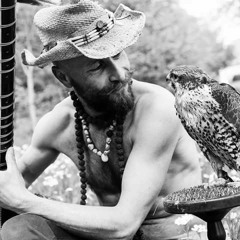 paul jackson OmniVibes2