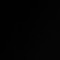 T3