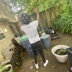 ync.Drop7x