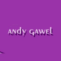 Andy Gawel
