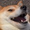 PlayMODtv